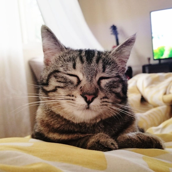 Reviving clothing to make fresh again - Picture 3 of 8